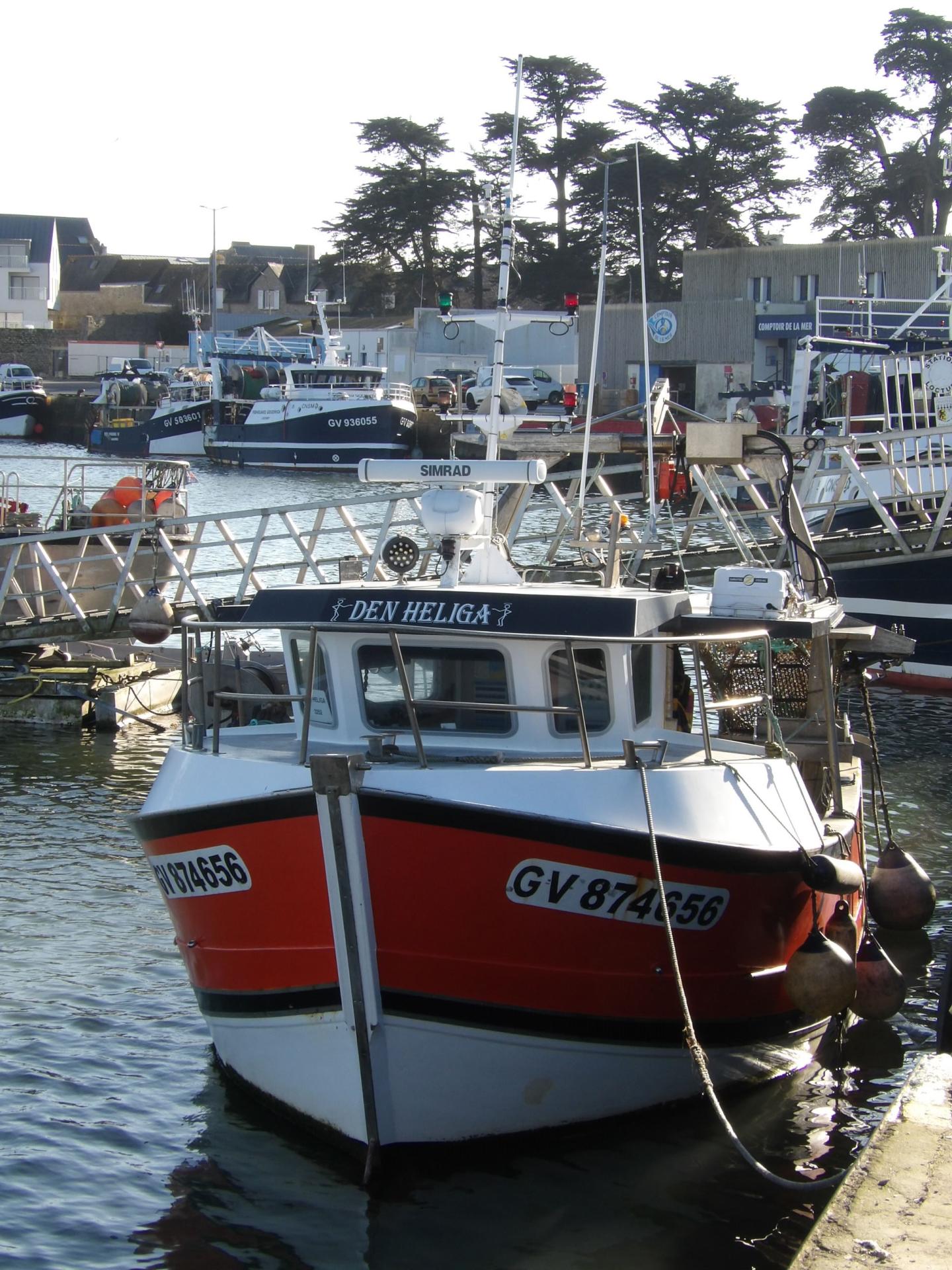 250208 den heliga a quai a